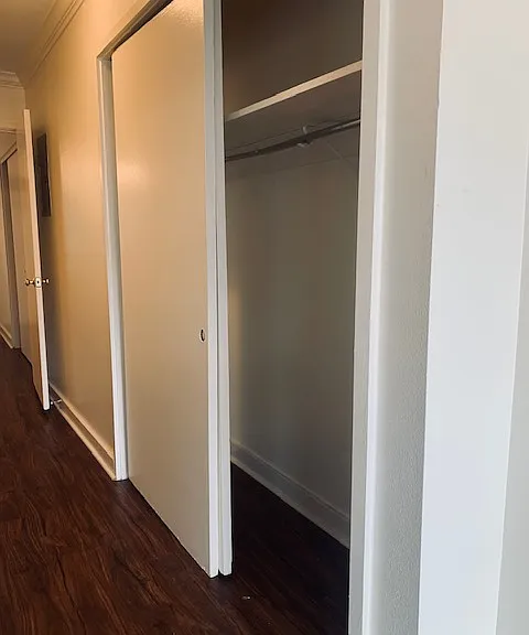 2833 Magazine St #204 — Photo 5