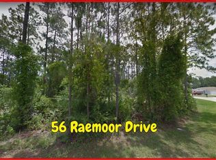 56 Raemoor Dr, Palm Coast, FL 32164