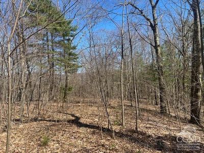 0 Amy'S Lane, Spencertown, NY, 12165