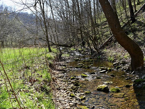 3rd image of 1013AC Dry Mill Creek Rd