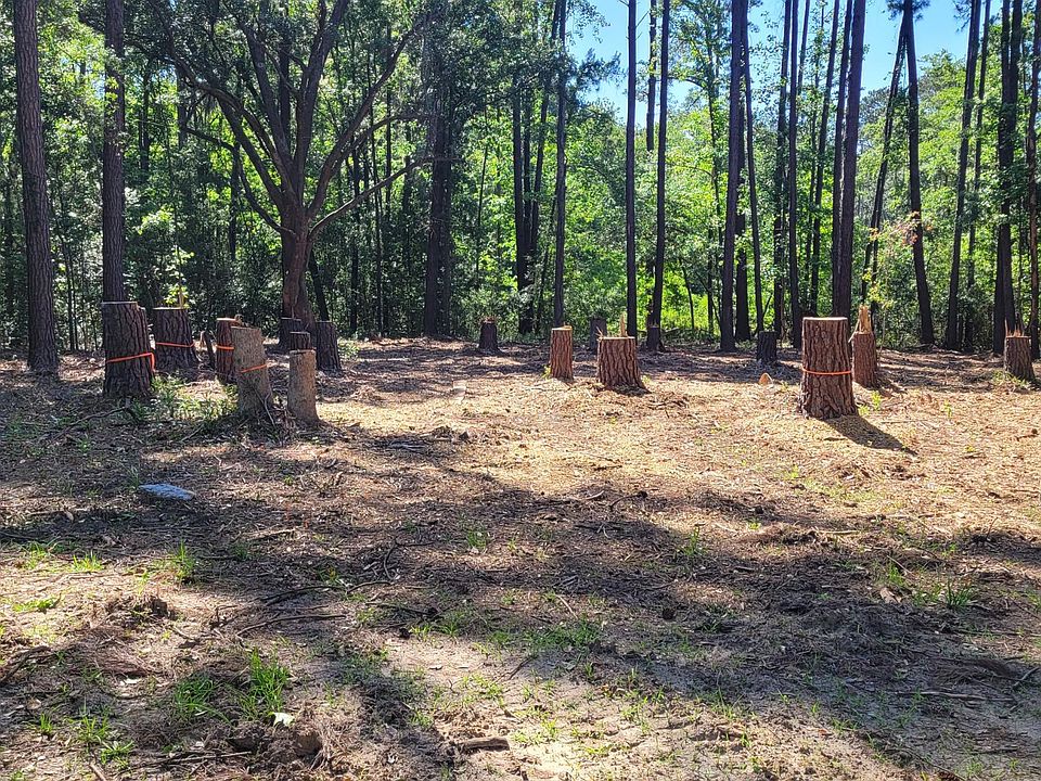 2nd image of 49 Honeysuckle Lane