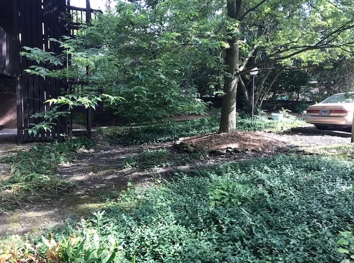 5603 Lakeside Dr — Photo 2