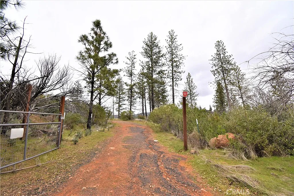 10 Patton Peak Rd photo 1