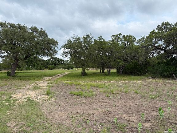 2nd image of 1132 Palomino LOT 140
