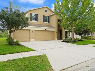 10853 Breaking Rocks Dr, Tampa, FL 33647