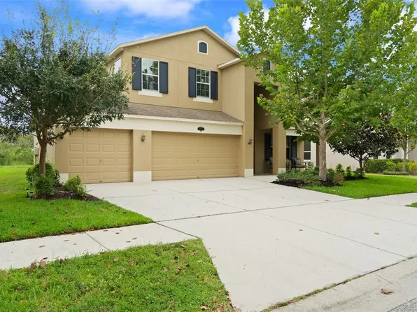 10853 Breaking Rocks Dr, Tampa, FL 33647