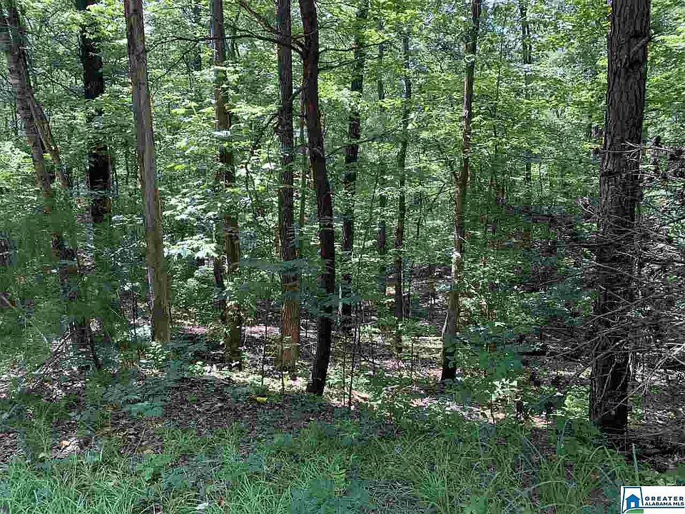 2nd image of 0 Hayfield Loop #37