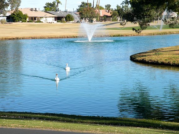 3rd image of 13022 W Blue Sky Dr