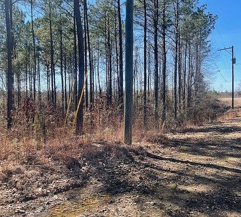 2nd image of 0 Bethabara Rd