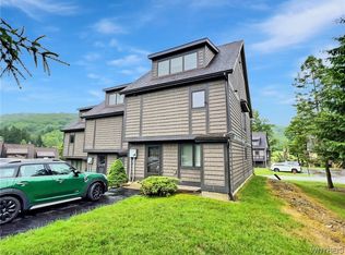 87 Woods Rd, Ellicottville, NY 14731