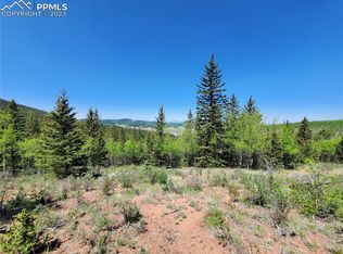 County Road 81, Divide, CO 80814