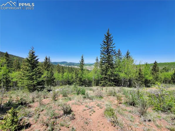 County Road 81, Divide, CO 80814