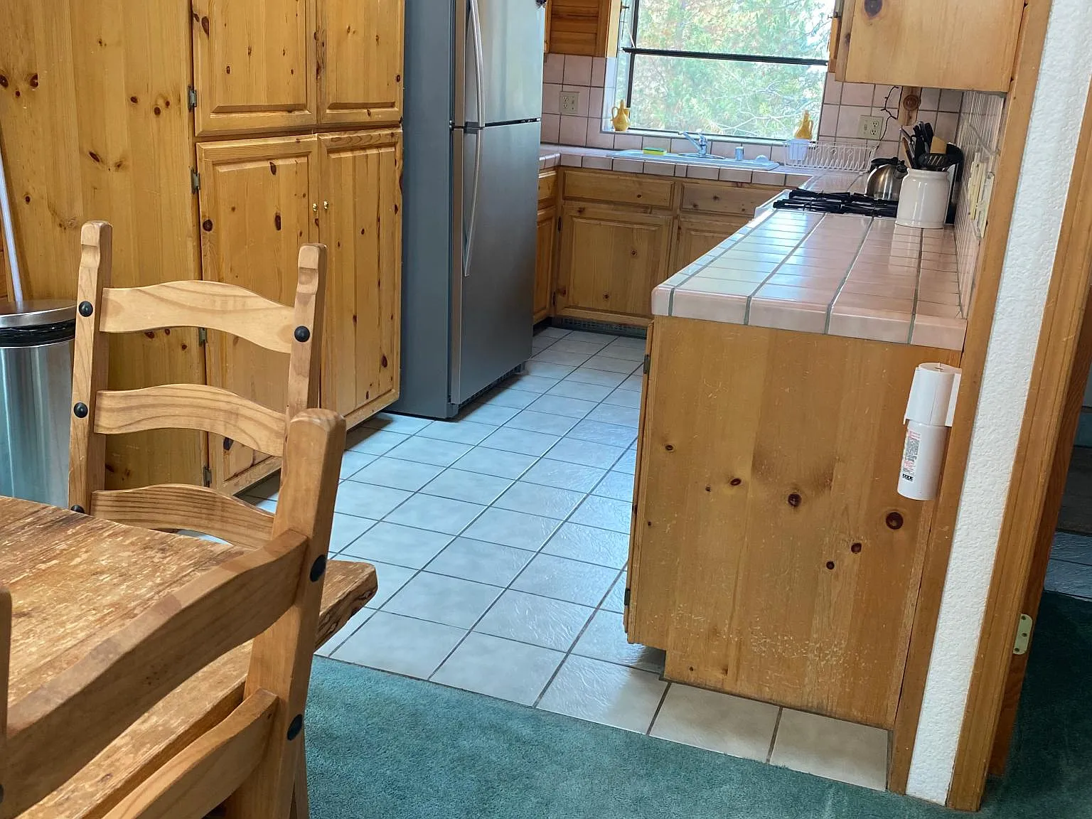 605 Danube Dr — Photo 3