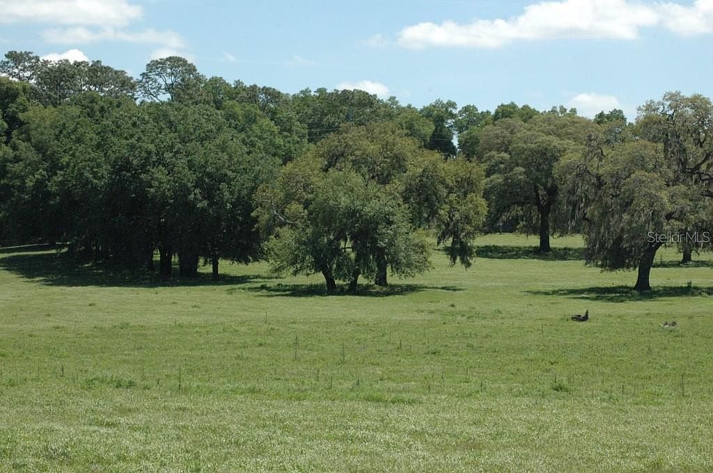 TBD Ne, Trilby, FL 33593 MLS W7862674 Zillow