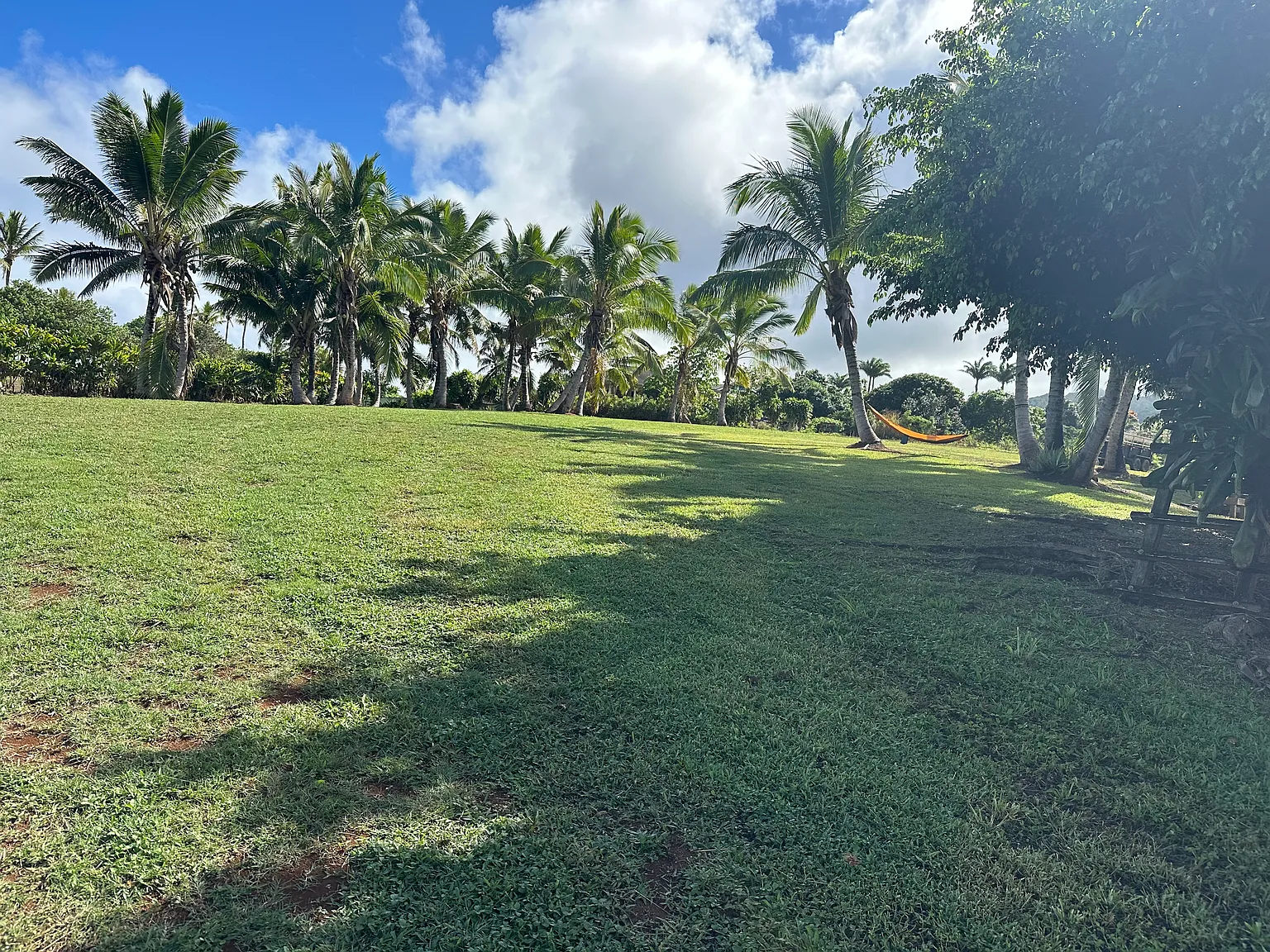 7545B Koolau Rd — Photo 4