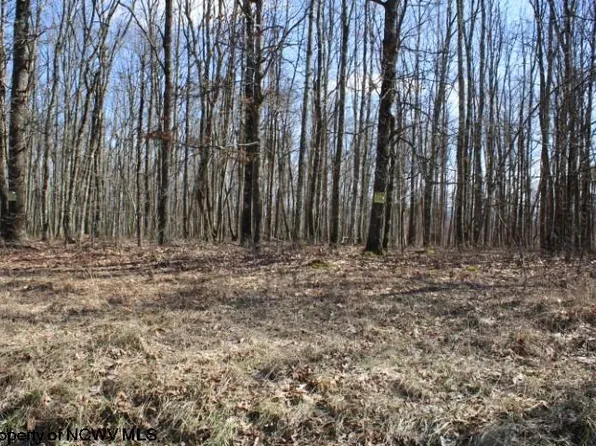 LOT 3 Sand Bank Rd, Masontown, WV 26542