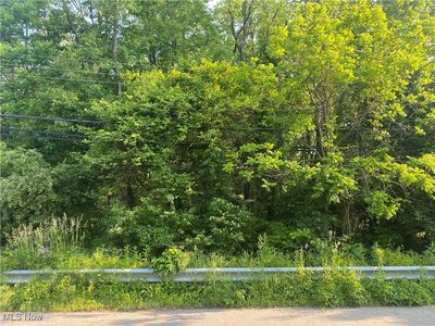 Morse St, Akron, OH, 44320
