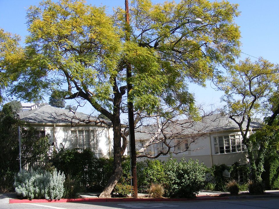 1st image of 1856 El Cerrito Pl