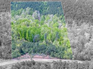 160 Benjamin Trl LOT 29, Hohenwald, TN 38462