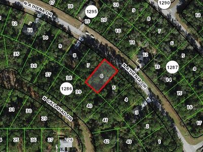9976 N Athenia Dr, Citrus Springs, FL, 34434