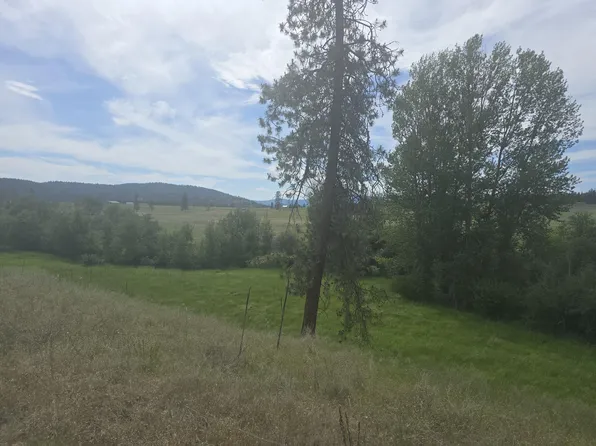 Bear Rd, Colville, WA 99114