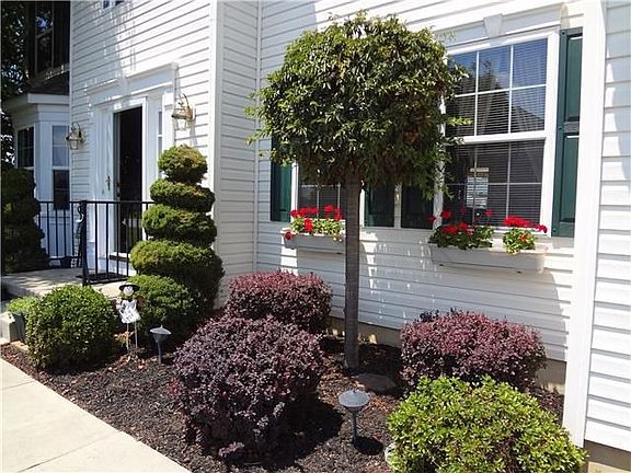 Nicely Landscaped Yard