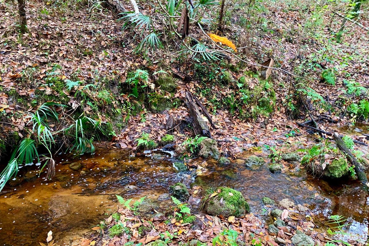 0 NW Lake Jeffery Rd B, Lake City, FL 32055 MLS 121713 Zillow