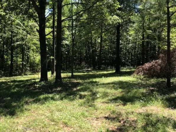 (undisclosed Address), Paragould, AR 72450