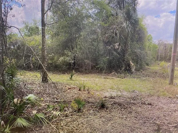 0 NE 73rd Ter #11, Citra, FL 32113