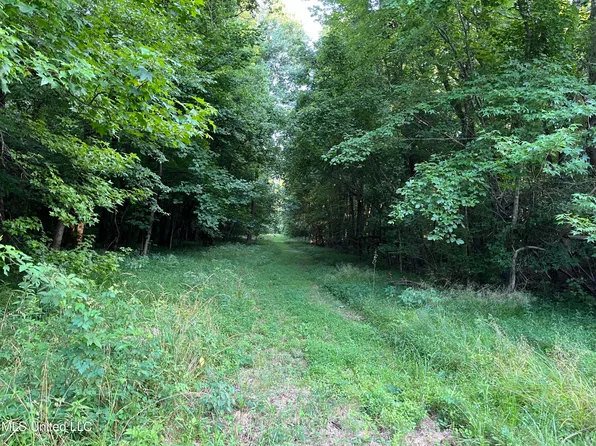 2900 Star Landing Rd, Nesbit, MS 38651