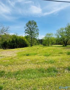 351 Rabbit Town Rd, Albertville, AL, 35950