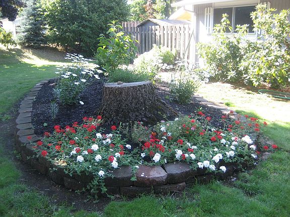 4th image of 13804 NE 39th St