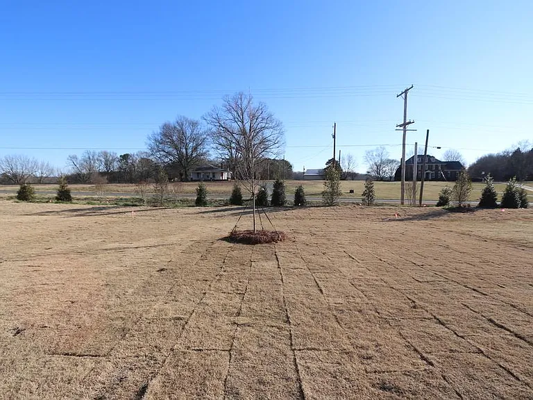 342 Rayland St — Photo 19