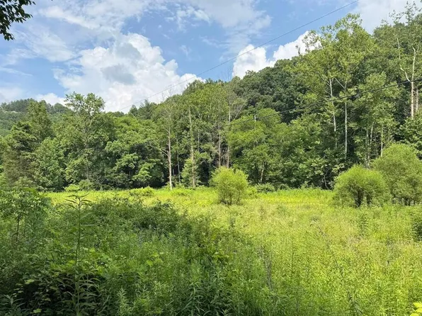 0 Myers Fork Rd, Denniston, KY 40316