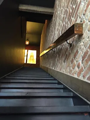 Rented by MNS | media 29