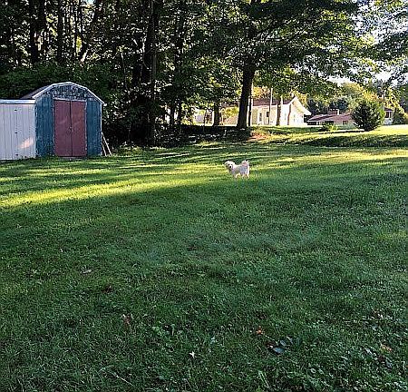 4th image of 166 Dale Dr