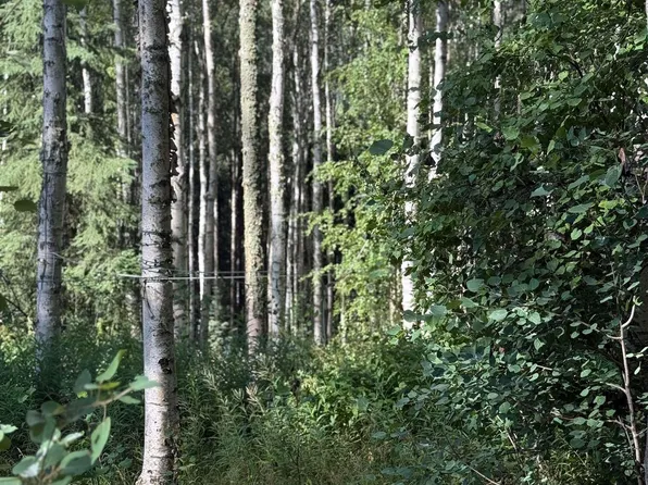 Nhn Westwick Dr, Fairbanks, AK 99712