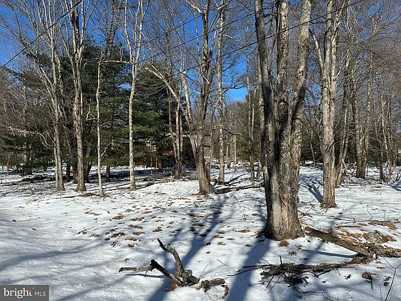 4th image of 19B-21-CI426 Pineknoll Dr