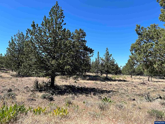 4th image of 13330 SW Airstrip Ln