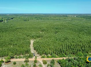 Montgomery Rd, Mauk, GA 31058