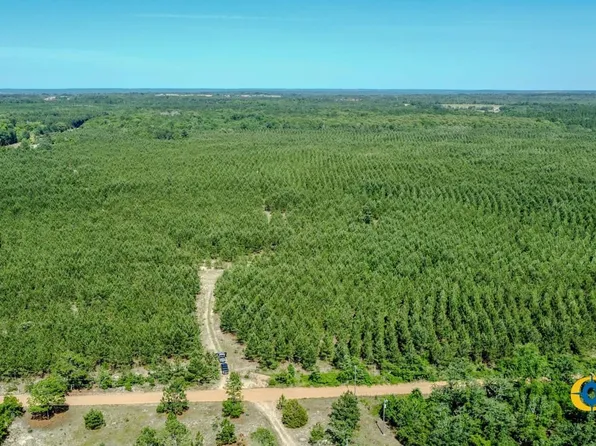 Montgomery Rd, Mauk, GA 31058