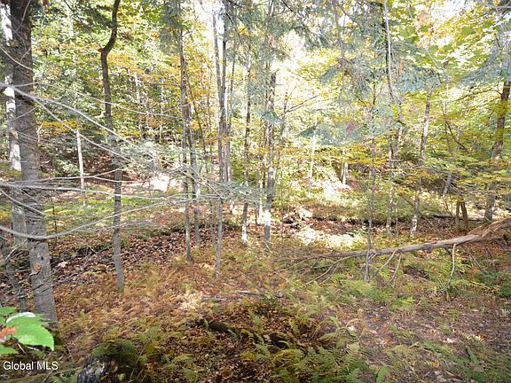 5th image of L17 Seneca Ridge Road