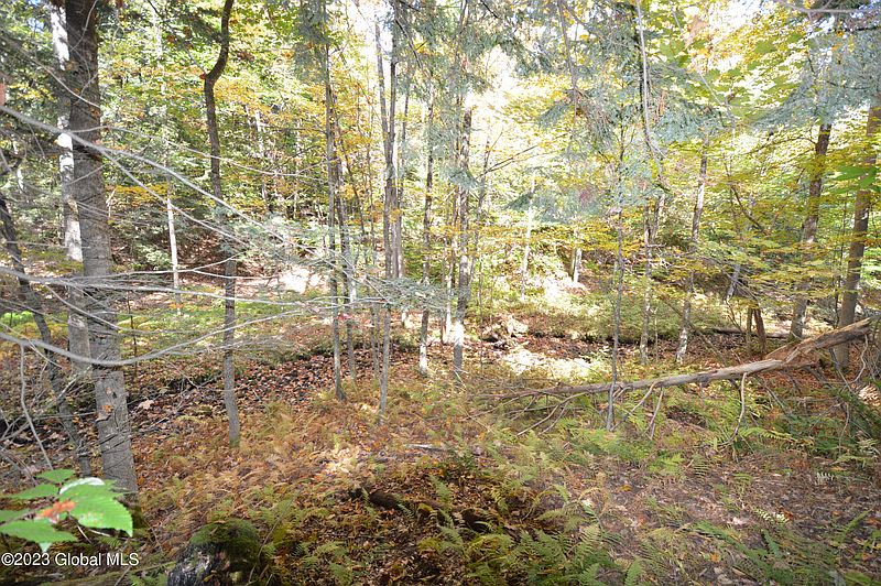 5th image of L17 Seneca Ridge Road