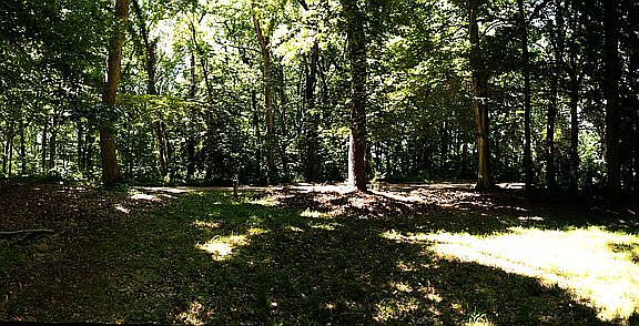 Panoramic of view from porch