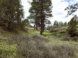 3 N Avalon Dr, Norwood, CO 81423