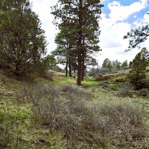 3 N Avalon Drive, Norwood, CO, 81423
