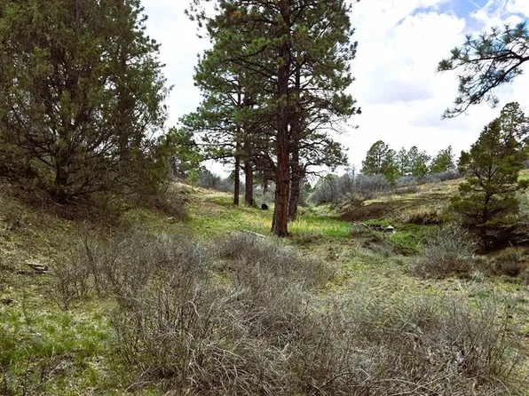 3 N. Avalon Drive, Norwood, CO 81423