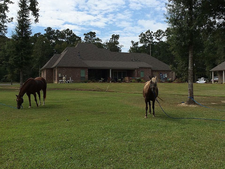 2nd image of 24871 State Highway 22