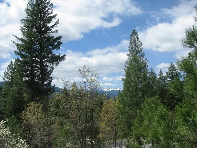 599 Main Ranch Rd photo 1