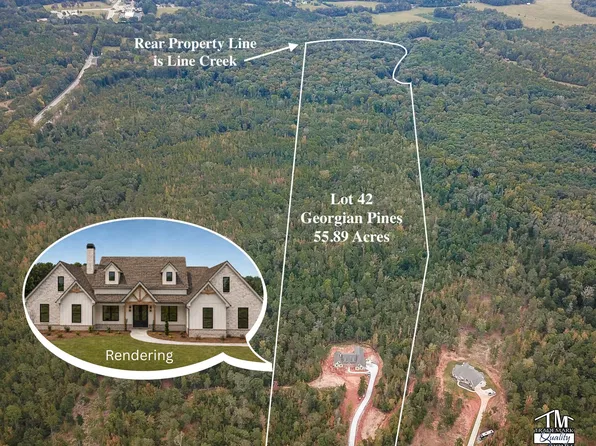 LOT 42 Starlight Dr, Senoia, GA 30276